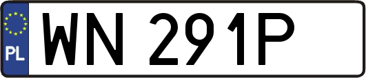 WN291P