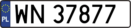 WN37877