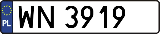 WN3919