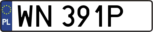 WN391P