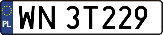 WN3T229