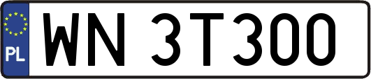 WN3T300