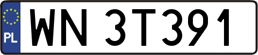 WN3T391