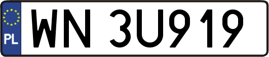 WN3U919