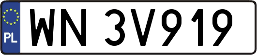 WN3V919