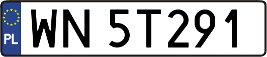 WN5T291