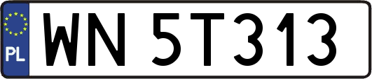 WN5T313