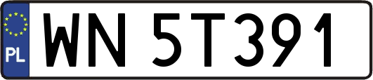WN5T391