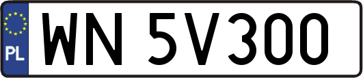 WN5V300