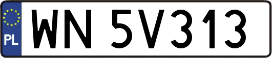 WN5V313