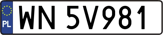 WN5V981