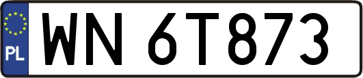 WN6T873