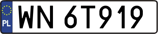 WN6T919