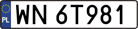 WN6T981