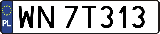 WN7T313