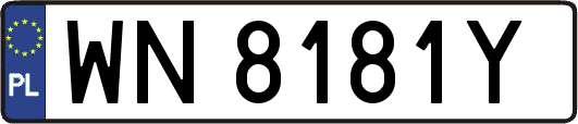 WN8181Y
