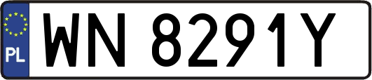 WN8291Y