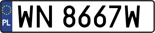 WN8667W