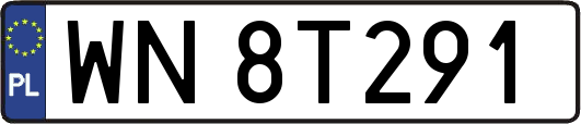 WN8T291