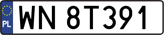 WN8T391
