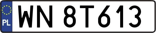 WN8T613