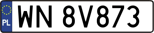 WN8V873