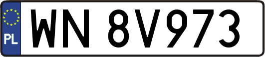 WN8V973