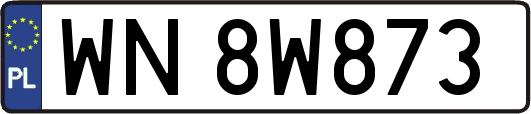 WN8W873