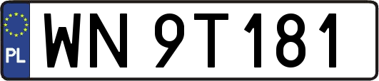 WN9T181