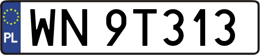 WN9T313