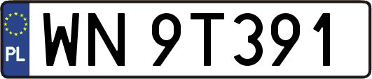 WN9T391