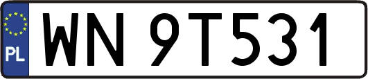WN9T531