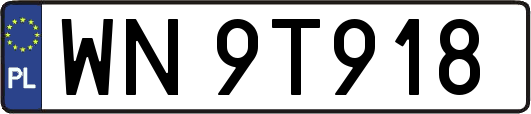 WN9T918