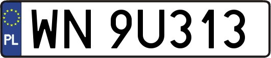 WN9U313