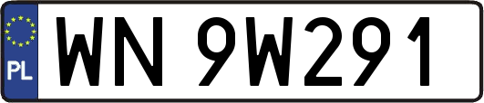 WN9W291
