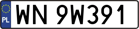 WN9W391