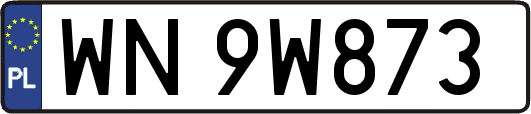 WN9W873