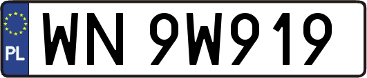WN9W919