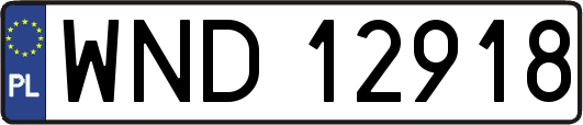 WND12918