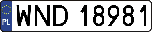 WND18981