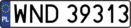 WND39313