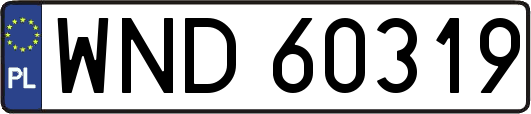 WND60319