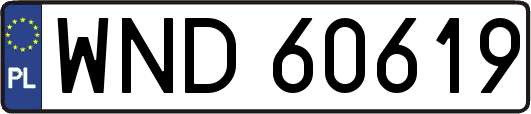 WND60619