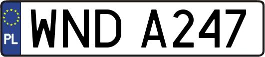 WNDA247