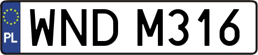 WNDM316