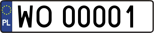 WO00001