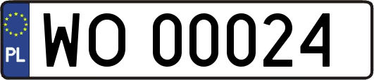 WO00024