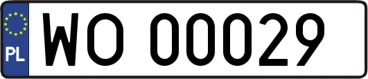 WO00029