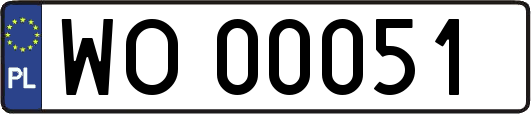 WO00051