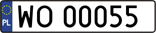 WO00055